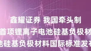 鑫耀证券 我国牵头制定的世界首项锂离子电池硅基负极材料国际标准发布